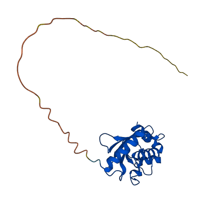 UBE2E2 3D structure
