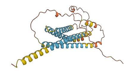 APOLD1 3D structure