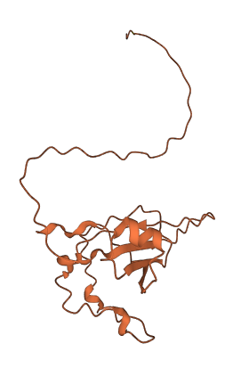 C2orf48 3D structure