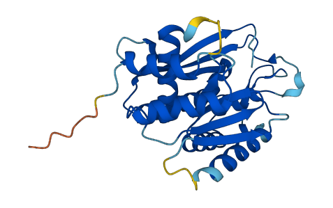 C1orf74 3D structure
