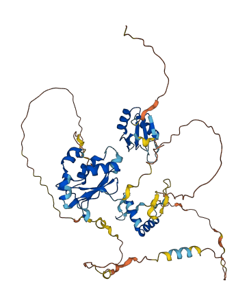 RNPC3 3D structure