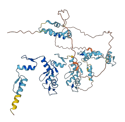 ZNF354B 3D structure