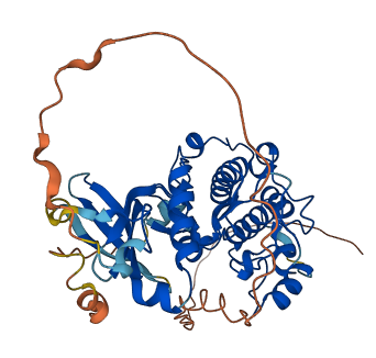 RSKR 3D structure