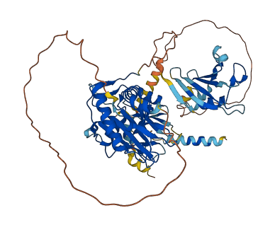 PRIMPOL 3D structure