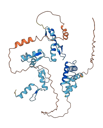 ZSCAN31 3D structure