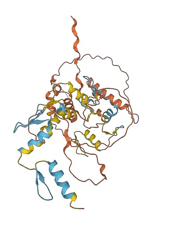 ZNF597 3D structure