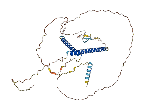 CCDC74B 3D structure