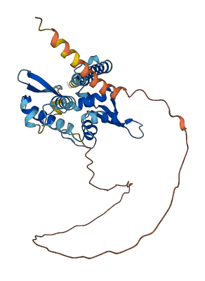 MAGEB10 3D structure