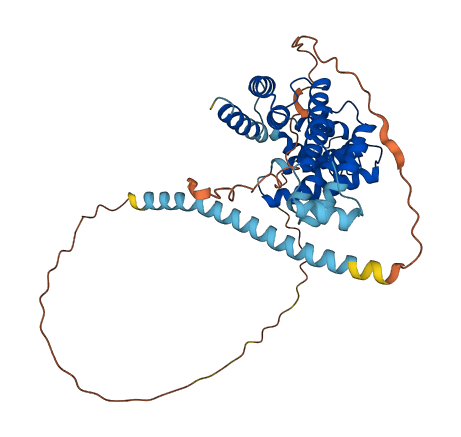 RMDN2 3D structure
