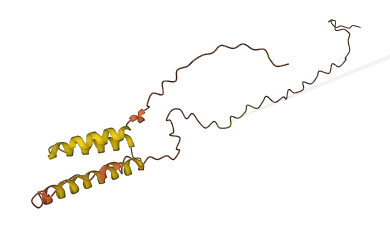 LINC00477 3D structure