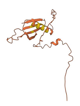 LINC00479 3D structure
