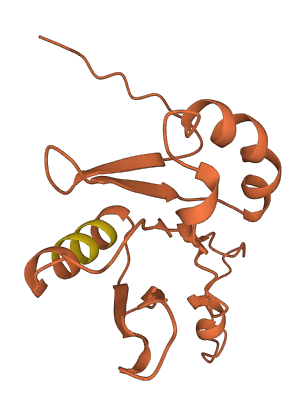 FER1L6-AS2 3D structure