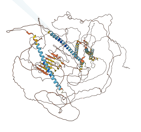 CCDC7 3D structure