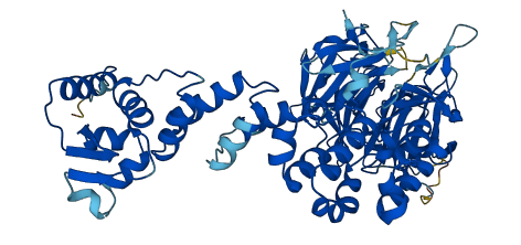 KLHL15 3D structure