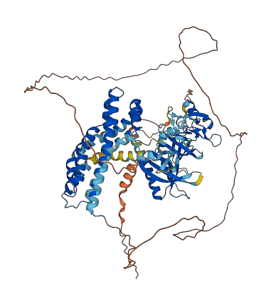 FGD4 3D structure