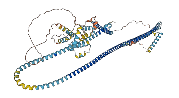 DRC1 3D structure