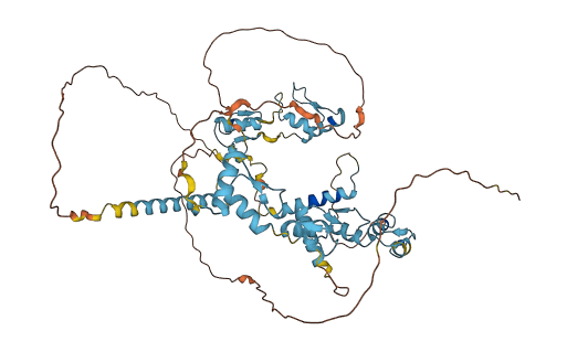 ZNF512 3D structure