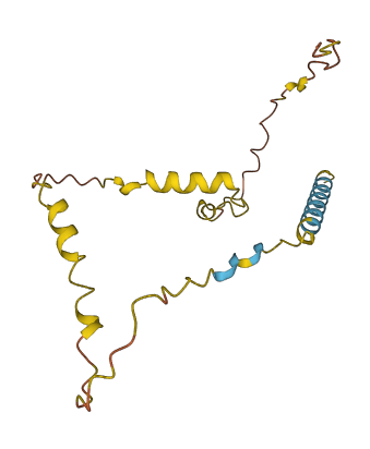 CCDC140 3D structure