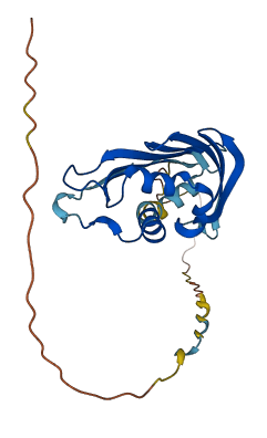 COQ10A 3D structure
