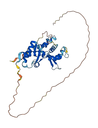 NSMCE3 3D structure