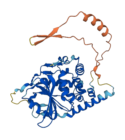 PCMTD1 3D structure