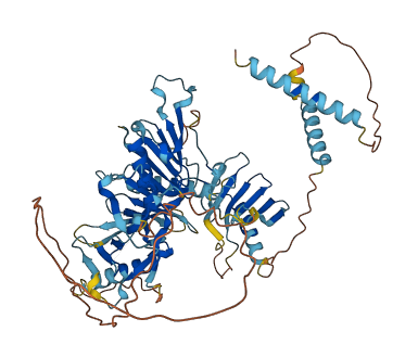C5orf34 3D structure