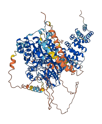 AGBL1 3D structure