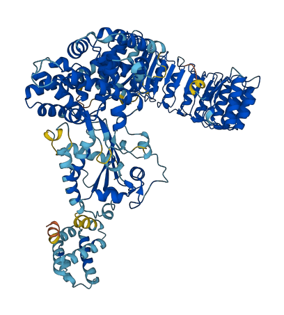 NLRP4 3D structure