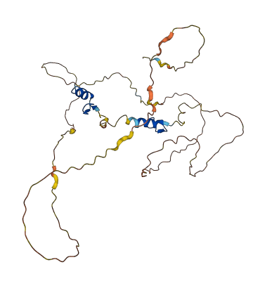 ZNF488 3D structure