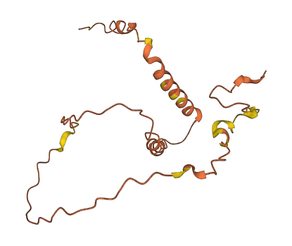 OBSCN-AS1 3D structure
