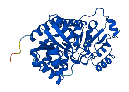 GLT1D1 3D structure