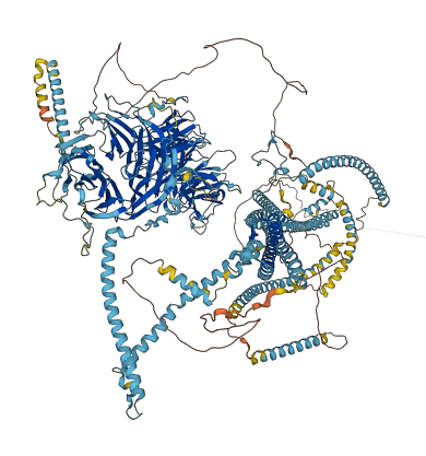 CFAP44 3D structure