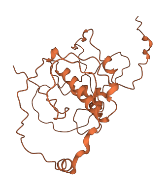 C17orf77 3D structure