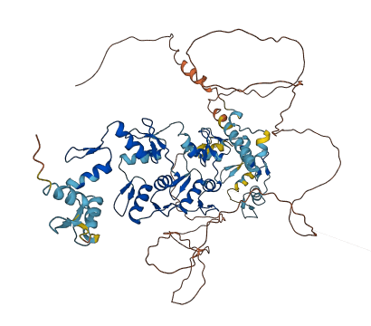 ZNF778 3D structure