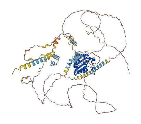 YTHDC1 3D structure