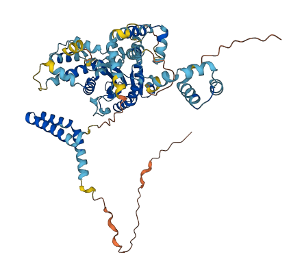 TIGD1 3D structure