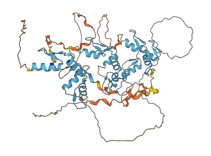 ZNF48 3D structure
