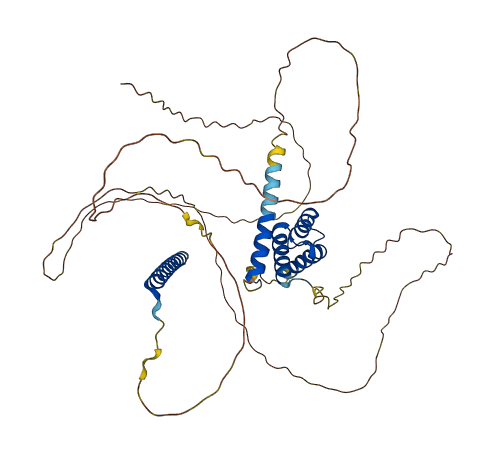 NOL4L 3D structure