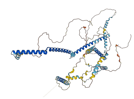 FAM161B 3D structure