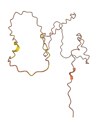 FAM218A 3D structure
