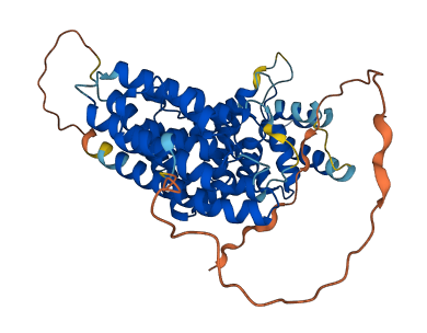 C7orf26 3D structure