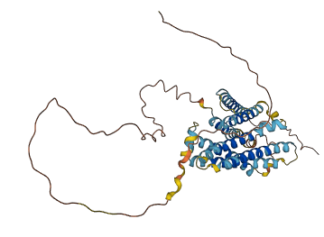 GPR137 3D structure