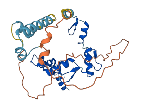 ZNF75A 3D structure