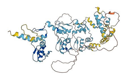ZNF681 3D structure