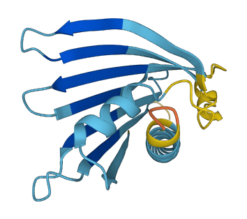 PRELID3A 3D structure