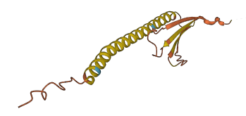 LINC00052 3D structure