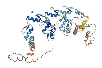 ZNF714 3D structure
