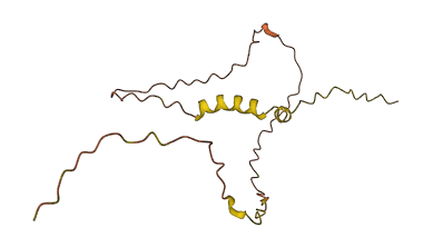 LINC00167 3D structure