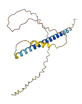 C18orf15 3D structure