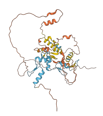 ZNF641 3D structure